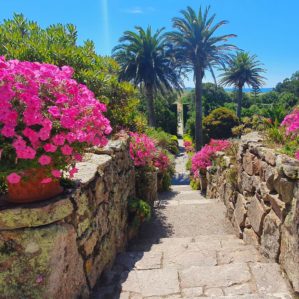 Tresco - îles Scilly